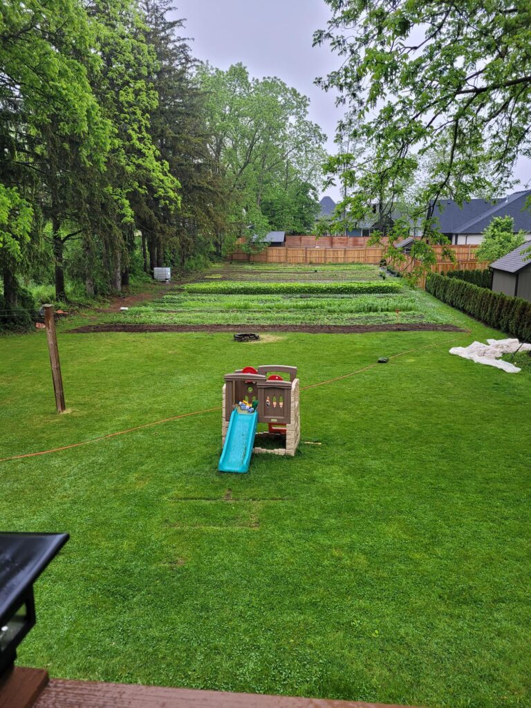 Small flower farm in backyard.